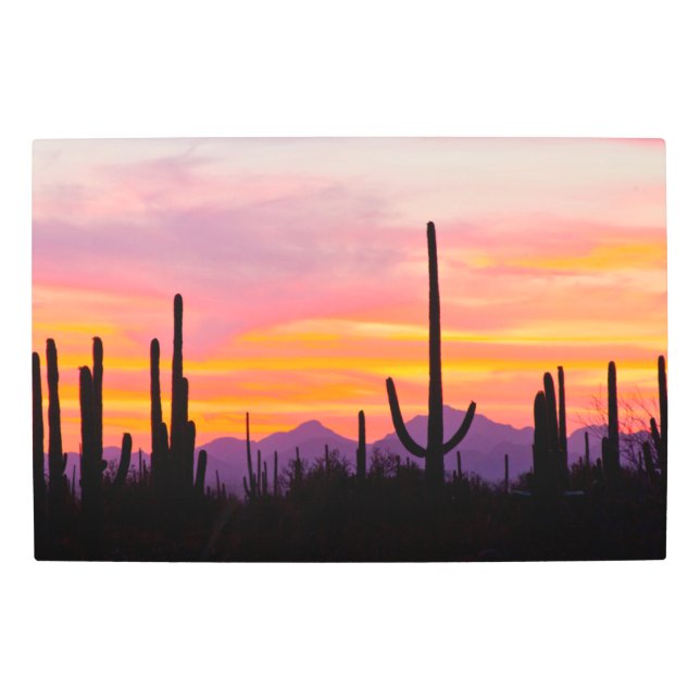 Impresión En Metal Bosque de Cactus Saguaro al atardecer (Anverso)