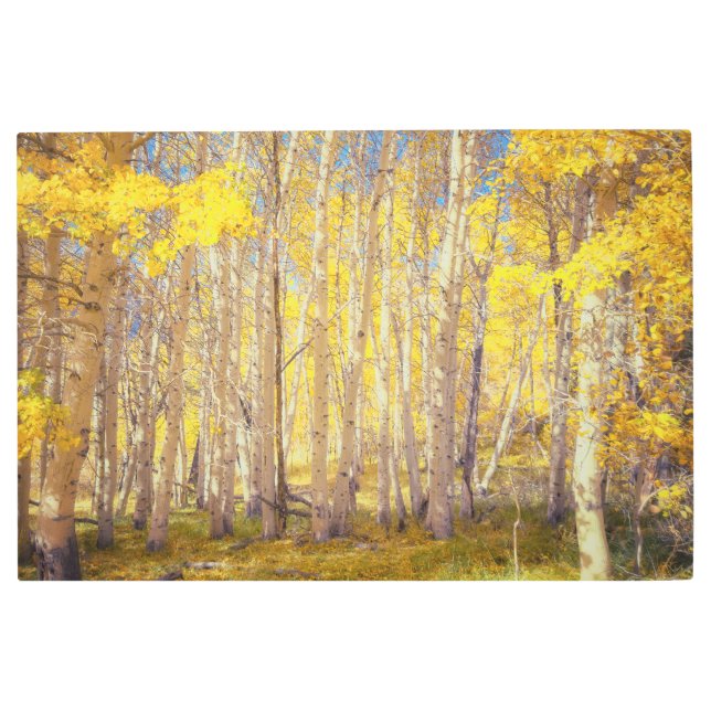 Impresión En Metal Bosque de Cuenca Dorada (Anverso)