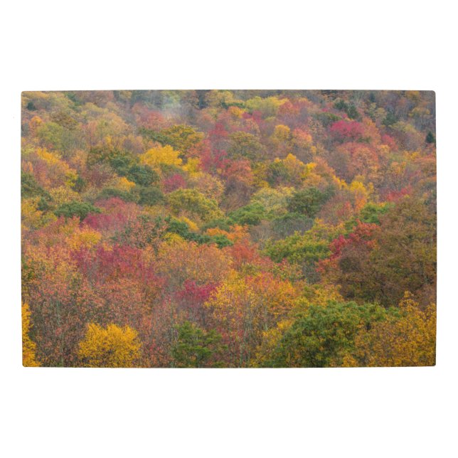 Impresión En Metal Bosque de madera dura en el condado de Randolph, V (Anverso)