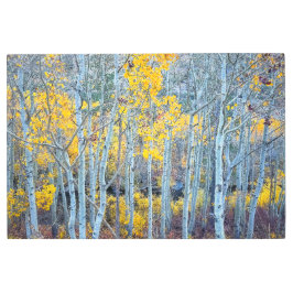 Impresión En Metal Bosque de otoño