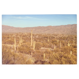 Impresión En Metal Bosque de Saguaro