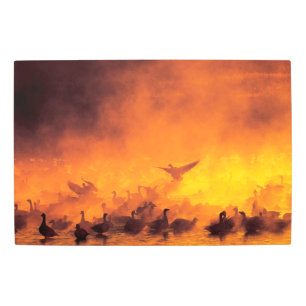 Impresión En Metal Bosque del Apache National Wildlife Refuge, NM