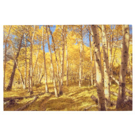 Impresión En Metal Bosque dorado