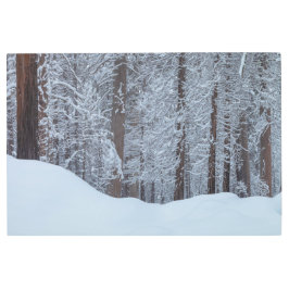 Impresión En Metal Bosque en invierno