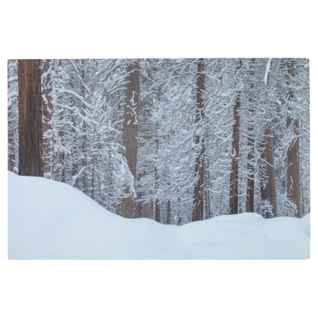Impresión En Metal Bosque en invierno (Anverso)