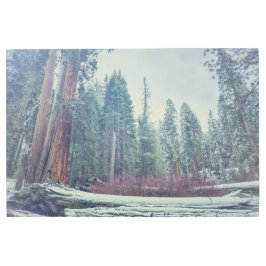 Impresión En Metal Bosque en invierno