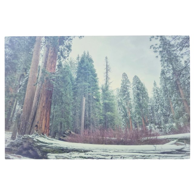 Impresión En Metal Bosque en invierno (Anverso)