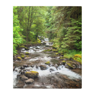 Impresión En Metal Bosque nacional de Siuslaw   Creek dulce