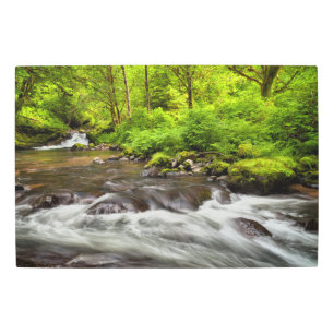 Impresión En Metal Bosque Nacional Siuslaw, Creek dulce, Oregón