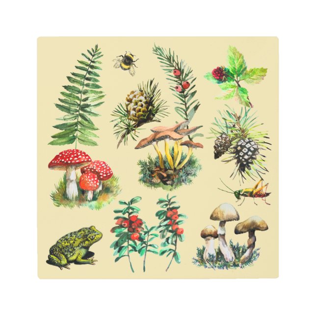 Impresión En Metal Bosque, setas silvestres (Anverso)