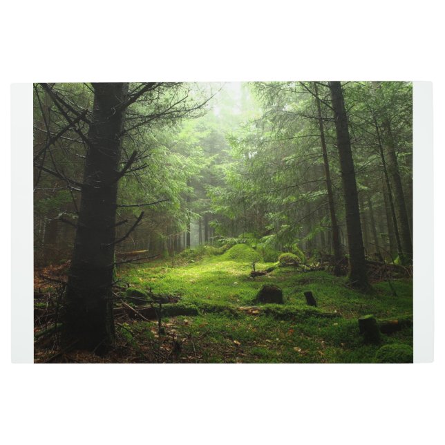 Impresión En Metal Bosques | Auvergne France (Anverso)