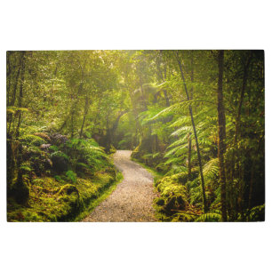 Impresión En Metal Bosques Camino al bosque