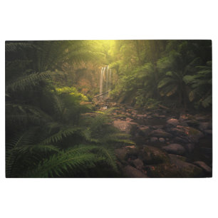 Impresión En Metal Bosques   Cascada con los aspectos más destacados 