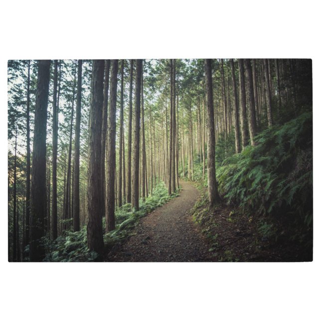 Impresión En Metal Bosques | Montañas de Wakayama Japón (Anverso)