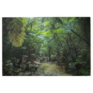 Impresión En Metal Bosques   Parque nacional Iriomote Ishigaki