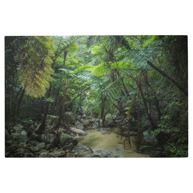 Impresión En Metal Bosques | Parque nacional Iriomote Ishigaki (Anverso)