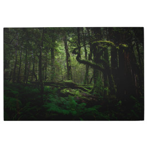 Impresión En Metal Bosques Routeburn Track Fiordland Parque naciona