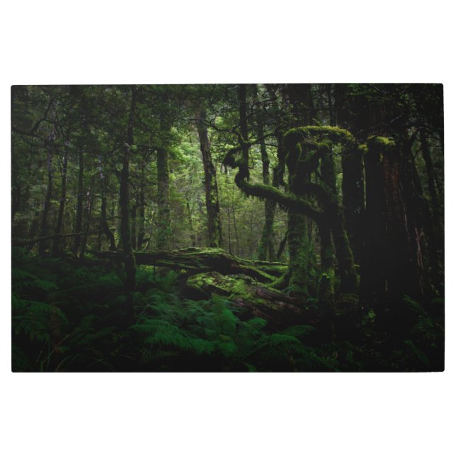 Impresión En Metal Bosques | Routeburn Track Fiordland Parque naciona (Anverso)