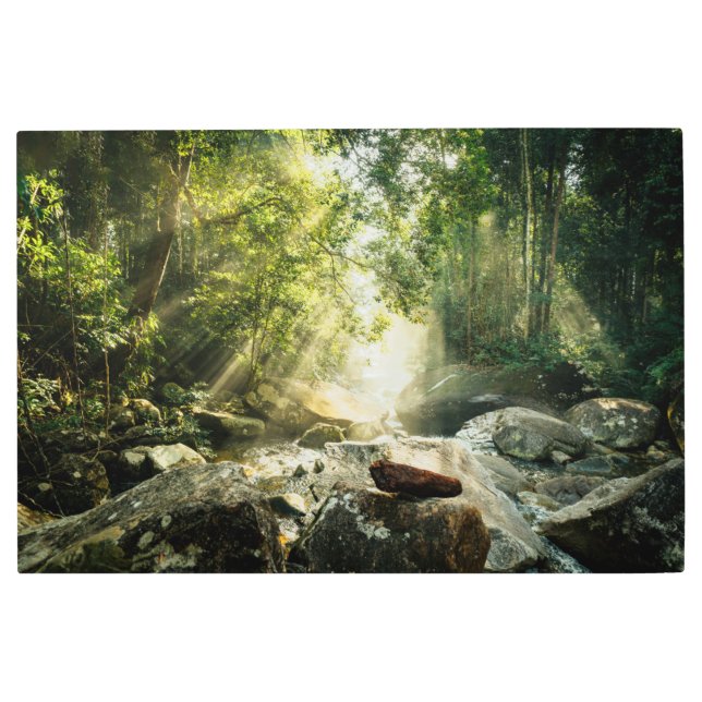 Impresión En Metal Bosques | Selva tropical de selva (Anverso)