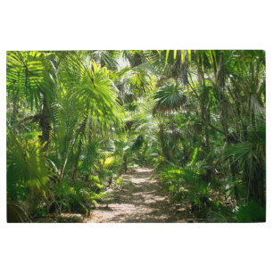 Impresión En Metal Bosques Tropical Rainforest Tulum Mexico