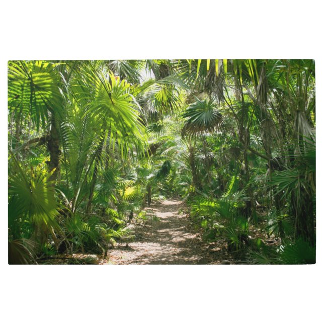 Impresión En Metal Bosques | Tropical Rainforest Tulum Mexico (Anverso)