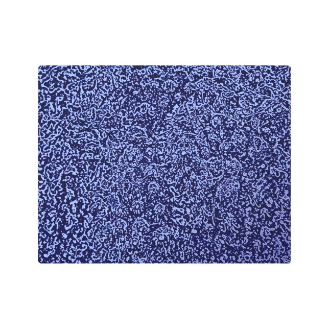 Impresión En Metal Botanical Pattern in Blue 1 (Anverso)