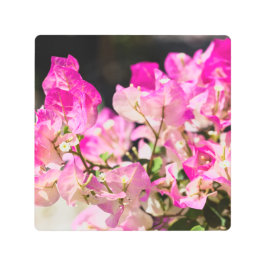 Impresión En Metal Bougainvillea