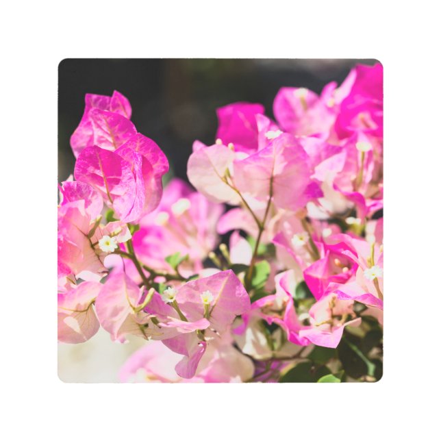 Impresión En Metal Bougainvillea (Anverso)