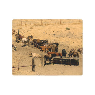 Impresión En Metal Bovino