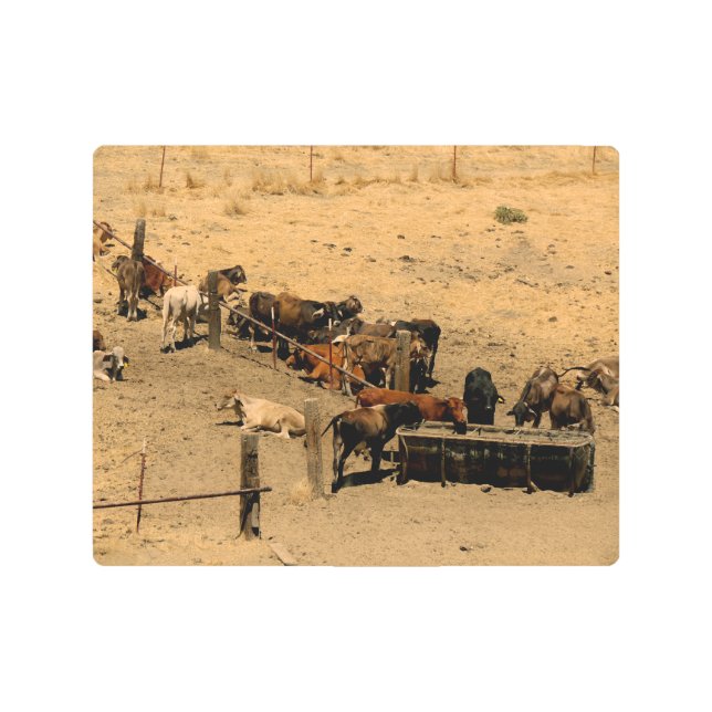 Impresión En Metal Bovino (Anverso)