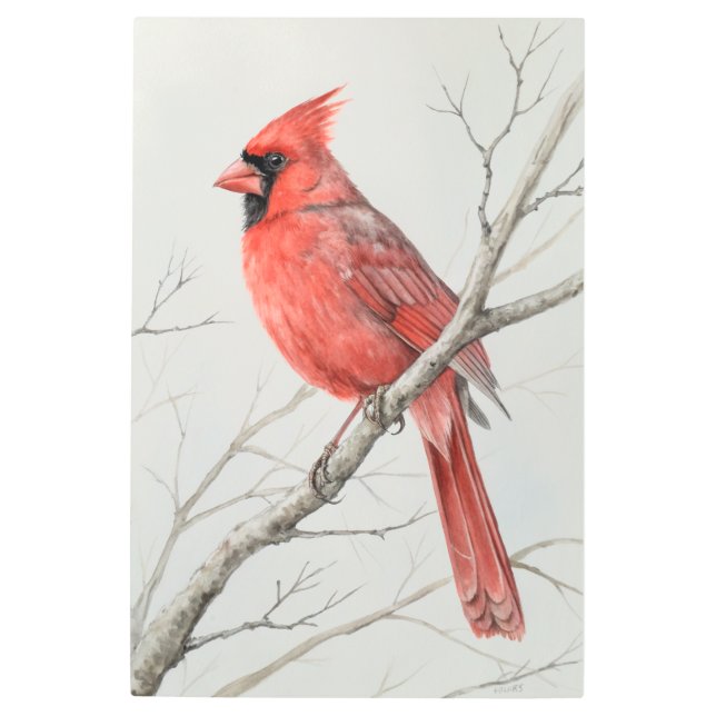 Impresión En Metal Brilliant Cardinal: Nature's Fiery Songbird (Anverso)