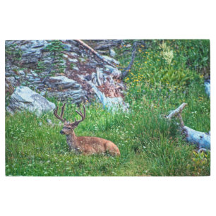 Impresión En Metal Buck de cama