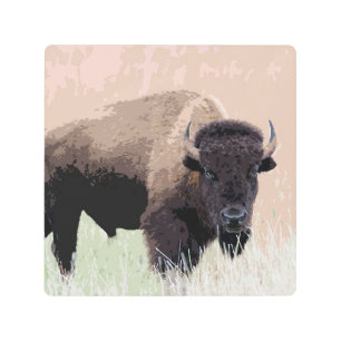 Impresión En Metal Búfalo / Bison