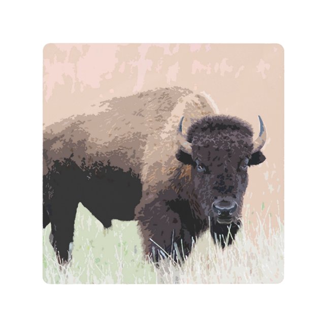 Impresión En Metal Búfalo / Bison (Anverso)