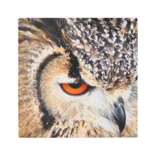 IMPRESIÓN EN METAL BÚHO