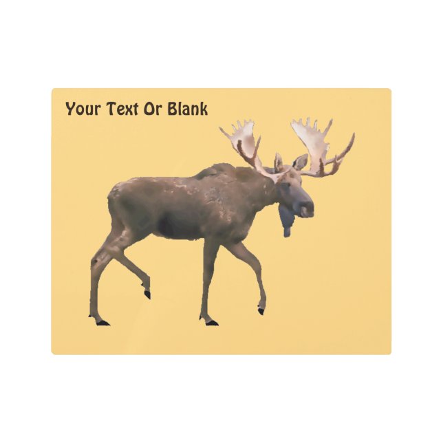 Impresión En Metal Bull Moose (Anverso)