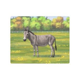 Impresión En Metal Burro Gris De Burro De Burro En Pasto