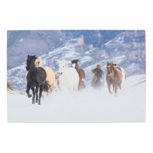 Impresión En Metal Caballo corriendo por la nieve