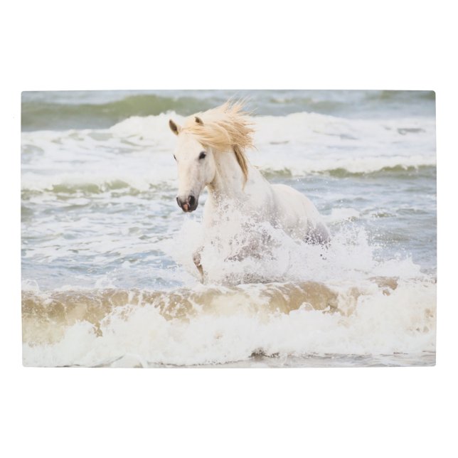 Impresión En Metal Caballo de la Camarga en el Surf (Anverso)