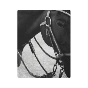 Impresión En Metal Caballo de transporte