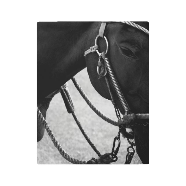 Impresión En Metal Caballo de transporte (Anverso)