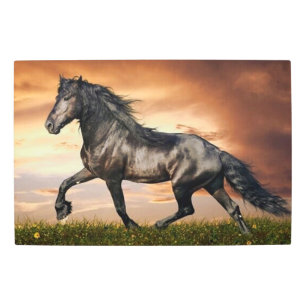 Impresión En Metal caballo negro