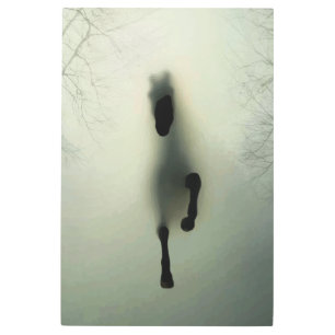 Impresión En Metal Caballo negro corriendo en un bosque nublado