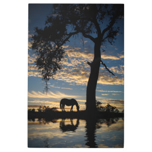Impresión En Metal Caballo y agua y puesta de sol