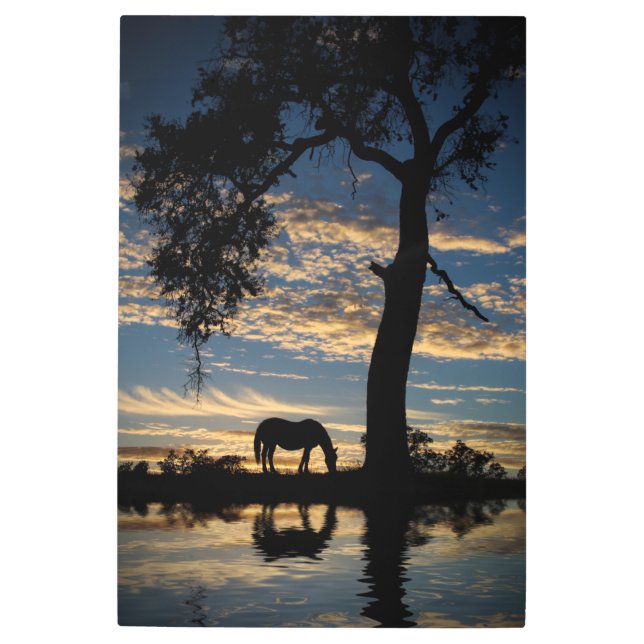 Impresión En Metal Caballo y agua y puesta de sol (Anverso)