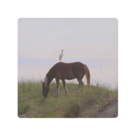 Impresión En Metal Caballo y jinete en las dunas