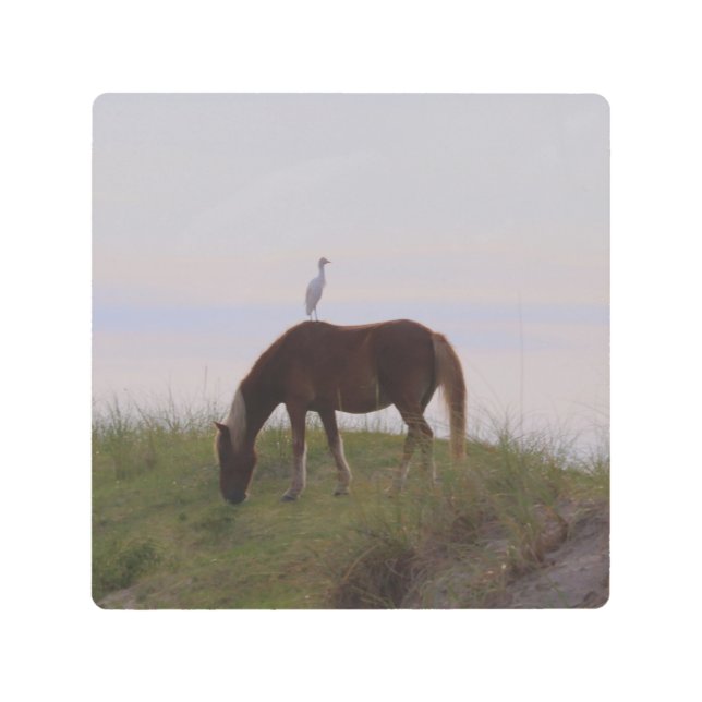 Impresión En Metal Caballo y jinete en las dunas (Anverso)