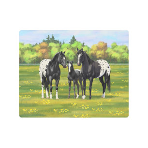 Impresión En Metal Caballos Appaloosa Negros En Pastel De Verano
