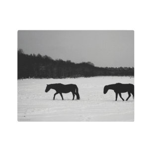 Impresión En Metal Caballos con nieve 14x11 (35x27,5cm) wamecna