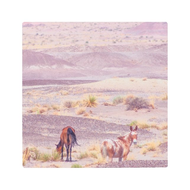 Impresión En Metal Caballos de desierto P8639 (Anverso)